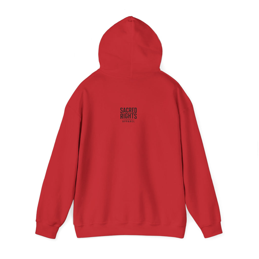 One Nation. Many Faiths. Hoodie