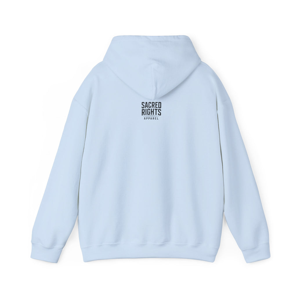 One Nation. Many Faiths. Hoodie