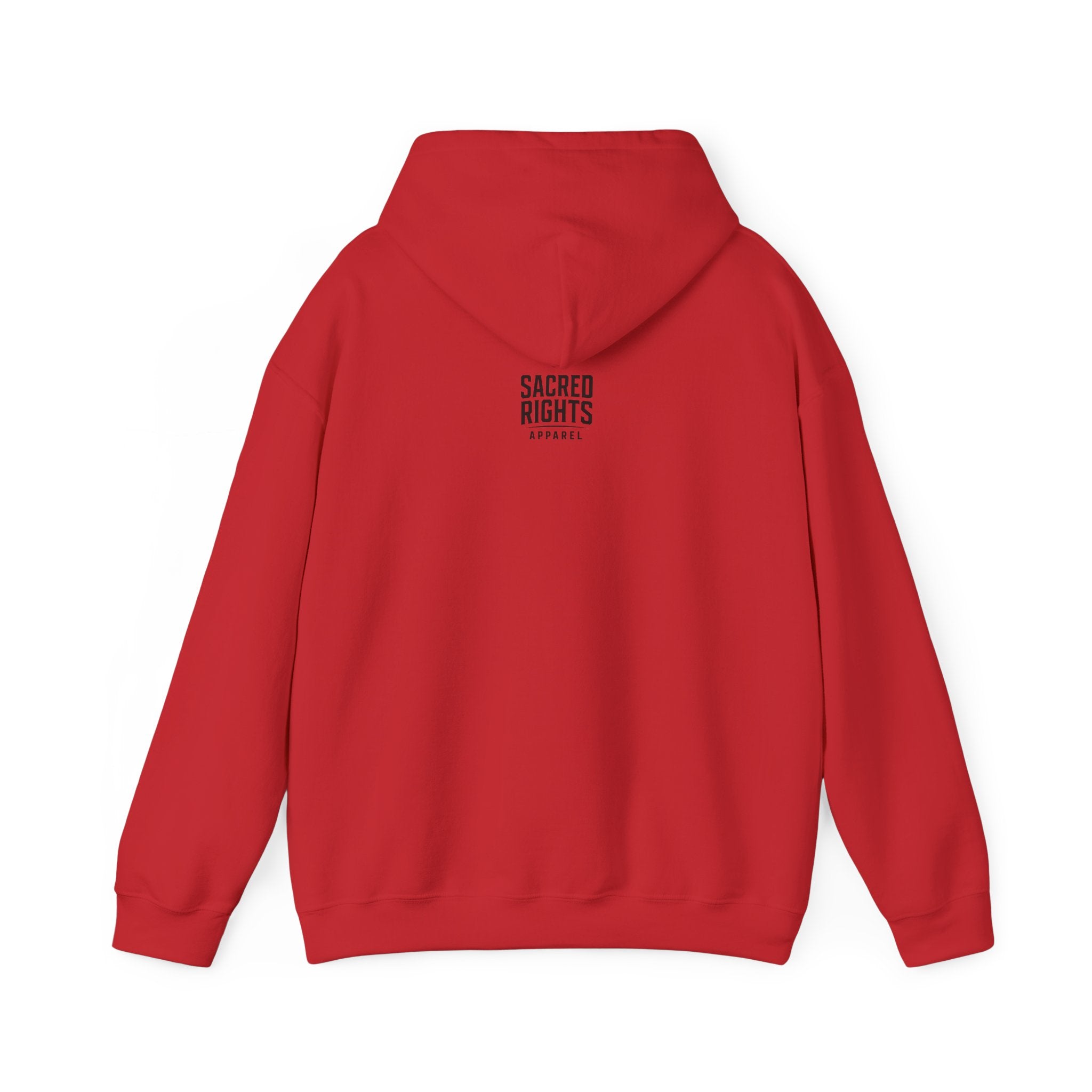 One Nation. Many Faiths. Hoodie